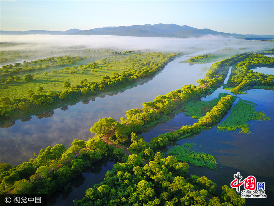 Les magnifiques paysages des zones humides de la rivière Wusuli dans la brume matinale