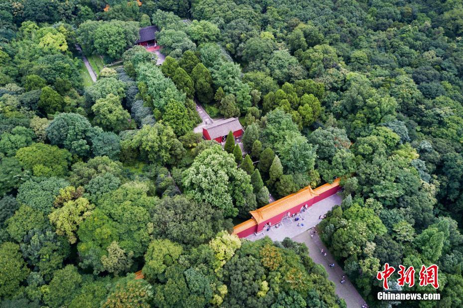Photos aériennes du tombeau Xiaoling à Nanjing
