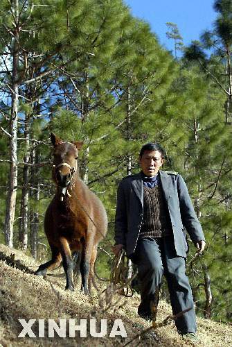 Sichuan,wang shunyou,,Qinghai,Tibet,Parteitag 6