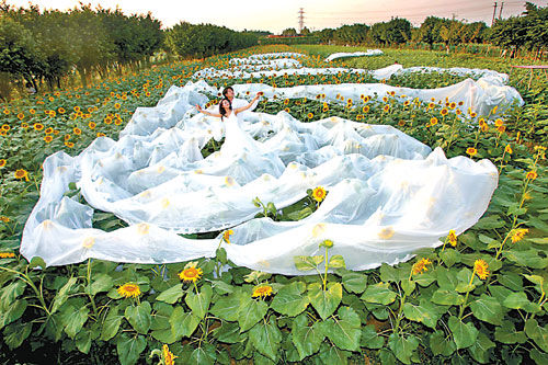 Hochzeitskleid,Kanton,Guinnes Buch,Schleppe,Wohlfahrtseinrichtung 2