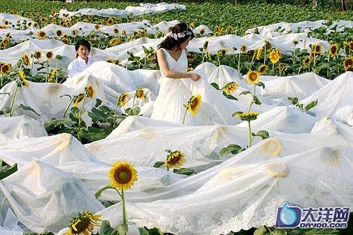 Hochzeitskleid,Kanton,Guinnes Buch,Schleppe,Wohlfahrtseinrichtung 3