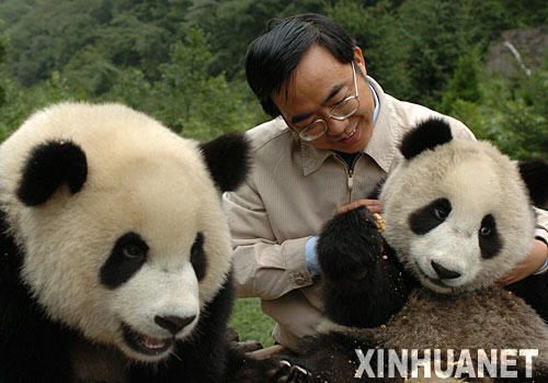 1 Naturschutz,Naturschutzgebiet,Vater,Parteitag,Panda,Pandas