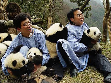 2 Naturschutz,Naturschutzgebiet,Vater,Parteitag,Panda,Pandas