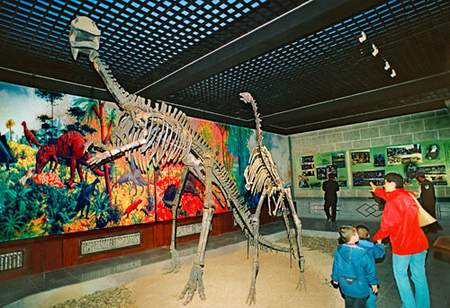 4 Innere Mongolei ,Fossilien,Dinosaurier,Dinosaurierfossilien,Naturkatastrophe,Aussterben,Kreidezeit