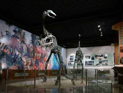 5 Innere Mongolei ,Fossilien,Dinosaurier,Dinosaurierfossilien,Naturkatastrophe,Aussterben,Kreidezeit