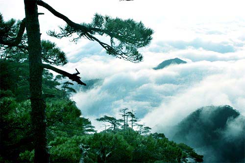 Sanqing,Jiangxi,naturerbe,Weltnaturerbe
