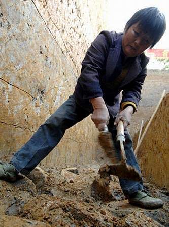 7 Arch?ologen,überreste,China,Ruinen,Kunstwerke,Mauer,die Verbotene Stadt