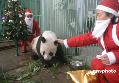 Weihnachten,Festland,Hong Kong ,China,Macao,Fest 13