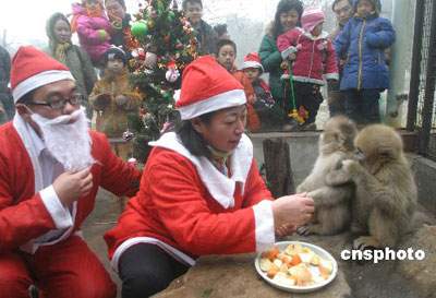 Weihnachten,Festland,Hong Kong ,China,Macao,Fest 14 