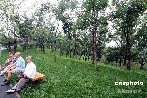 Waldpark,Olympische Waldpark ,2008,Peking,Sicherheitsgründen, Zeitraums 4
