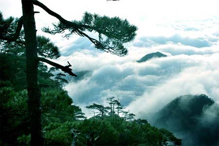 5 Weltkulturerben,UNESCO,Kanada,Mount-Sanqingshan,Natonialpark,China,Gipfel,Mount,W?lder,au?ergew?hnliche Landschaft ,Tulou,Wohnarchitektur,Liste