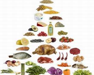 New England Journal of Medicine, Di?t ,Abnehmen,Cholesterinspiegel,Kohlenhydrat-arme,Obst und Gemüse ,Fleisch, Fisch, Hühnchen, Ei
