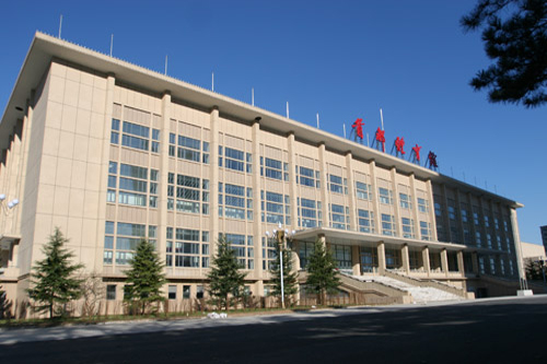 Das Hauptstadtstadion (CAS)