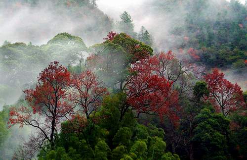 Jiangsu,Dafeng,Naturschutzgebiet,Heilongjiang,Shenzhen,Sichuan 7