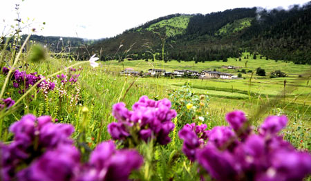 Nyingchi,Tibet.,Reise,Landschaft,südwestchina 2