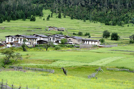 Nyingchi,Tibet.,Reise,Landschaft,südwestchina 4