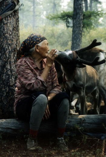 Chinas Naturschutzgebiete durch den Sucher (II)Das Kanas Naturreservat in Xinjiang. Das Tangjiahe National-Naturreservat. Crested Ibis im Kreis Yangxian in Shaanxi. Eine Eidechse in der Wüste von Alxa League. Petaurista alborufus. Lebensraum für V?gel in den Sumpfgebieten von Huanzidong. Der Guangxi Beibu-Golf. Naturreservat Phoenix Mountains in der Stadt Guangdong Zhuhai. Das National-Naturreservat Tangjiahe. Das National-Naturreservat Hanma(10)