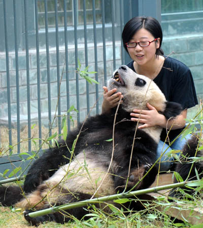 2 Die acht 'Olympia-Pandas', von Internetnutzern als Glücksbringer für die Beijinger Olympischen Spiele ernannt, haben sich seit ihrer Ankunft in Beijing am 5. Juni aus dem Naturreservat für Riesenpandas in Wolong in der südwestchinesischen Provinz Sichuan bereits vor mehr als einer Million Besuchern pr?sentiert.