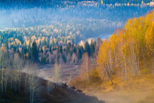 Hoh Xil,Yunnan,Tibet,Tibetfuchs,Gletscher, Hunan,Naturreservat 8