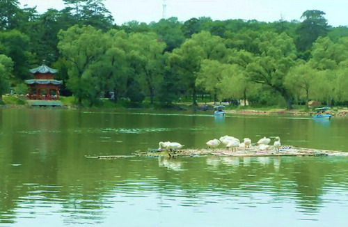 Chengde,Vergangenheit,Moderne,Gegenwart,Alten,Neuen,kaiser,Sommerresidenz,Uhren ,Gem?lde ,Buddhafiguren,MP3,Touristen 