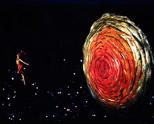 'Sonnenvogel' fliegt ins Vogelnest