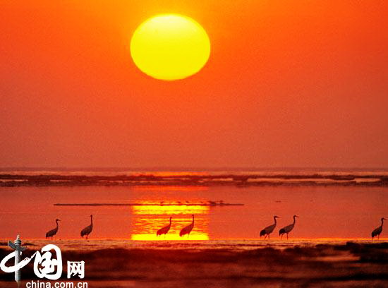 Das in der südwestchinesischen Provinz Liaoning liegende und von Yingkou, An’Shan und Jinzhou von Land umgebene Panjin ist ein zentraler Gürtel des Liaohe-Delta, der sich neben der Liaodong-Bucht im Süden auf eine Küstenl?nge von ca. 118 Kilometern erstreckt. Der Liaohe mündet in Panjin ins Meer.
