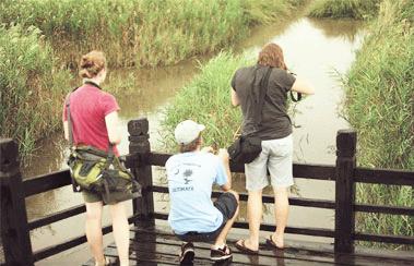 Teilnehmer am Chongming-Insel-Fotowettbewerb suchen im unberührten, farbenfrohen Sumpfgebiet Dongtan nach der richtigen Perspektive.