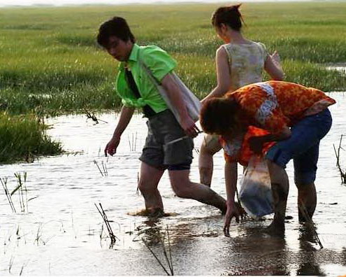 Die natürliche Sch?nheit der Insel Chongming ist unumstritten, und welchen besseren Weg k?nnte es geben, ein Stück dieser Sch?nheit einzufangen, als unter einer Gruppe ausl?ndischer Fotografen einen Fotowettbewerb zu starten.