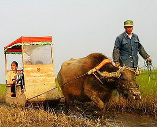 Die natürliche Sch?nheit der Insel Chongming ist unumstritten, und welchen besseren Weg k?nnte es geben, ein Stück dieser Sch?nheit einzufangen, als unter einer Gruppe ausl?ndischer Fotografen einen Fotowettbewerb zu starten.