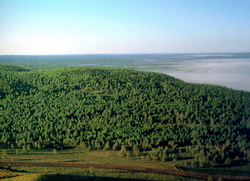 1 Die nord?stliche chinesische Provinz Heilongjiang will in den kommenden zwei bis drei Jahren ein Holzeinschlagverbot für schlagreife B?ume im Xing'anling-Gebirge, dem gr??ten Waldgebiet Chinas, verh?ngen.