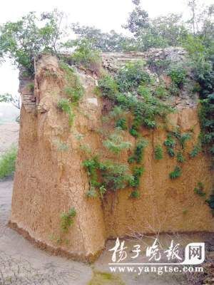 1 In der N?he von Nanjing wurde das Grab der jüngsten Tochter des ersten Ming-Kaisers entdeckt. Das Grab ist leider geplündert, aber auf einer Stele und einer Steinplatte, die darin gefunden wurden, fand man biografische Angaben zu Prinzessin Qingbao.