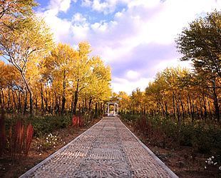 Der Sp?therbst kommt und die Bl?tter f?rben sich bunt im Wald des Kreises Youyu, der auf dem 1400 Meter hohen n?rdlichen L?sshügelland der Provinz Shanxi liegt.