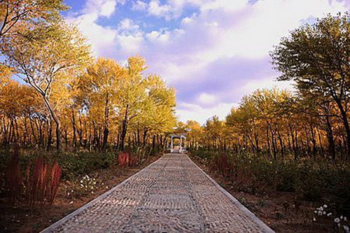 Der Sp?therbst kommt und die Bl?tter f?rben sich bunt im Wald des Kreises Youyu, der auf dem 1400 Meter hohen n?rdlichen L?sshügelland der Provinz Shanxi liegt.