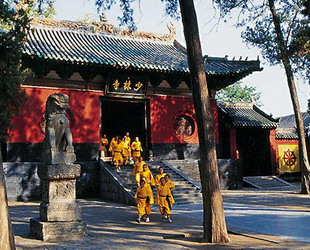 Vor 30 Jahren hat der Film 'Shaolin-Tempel' den an einem Berg h?ngenden alten Tempel weltweit bekannt gemacht. Und nach 30 Jahren führt Shaolin mit seiner moderner Verwaltungsart zu einer heftigen Kontroverse.