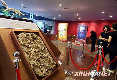 1 Im Aquarium der ostchinesischen Metropole Shanghai findet derzeit eine Ausstellung über wertvolle Fossilien statt. Zahlreiche Fossilien von seltenen Tierarten aus der Urzeit k?nnen besichtigt werden. Die Besucher k?nnen nicht nur Fossilien bewundern, sondern gleichzeitig auch ihre Kenntnisse über uralte Tierarten erweitern.