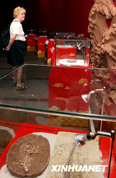 2 Im Aquarium der ostchinesischen Metropole Shanghai findet derzeit eine Ausstellung über wertvolle Fossilien statt. Zahlreiche Fossilien von seltenen Tierarten aus der Urzeit k?nnen besichtigt werden. Die Besucher k?nnen nicht nur Fossilien bewundern, sondern gleichzeitig auch ihre Kenntnisse über uralte Tierarten erweitern.