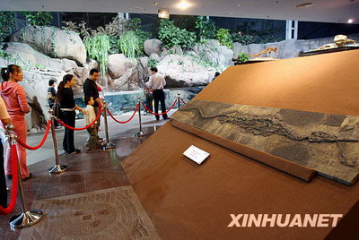 4 Im Aquarium der ostchinesischen Metropole Shanghai findet derzeit eine Ausstellung über wertvolle Fossilien statt. Zahlreiche Fossilien von seltenen Tierarten aus der Urzeit k?nnen besichtigt werden. Die Besucher k?nnen nicht nur Fossilien bewundern, sondern gleichzeitig auch ihre Kenntnisse über uralte Tierarten erweitern.