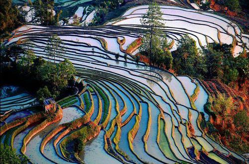 Man sagt, Yuanyang sei der beste Ort in Yunnan, um einen Sonnenuntergang zu fotografieren. Das Abendrot ist hier nicht nur im Himmel, sondern überall zu spüren. Der Wind singt dazu sein Lied und zieht über die bunten Terrassenfelder.