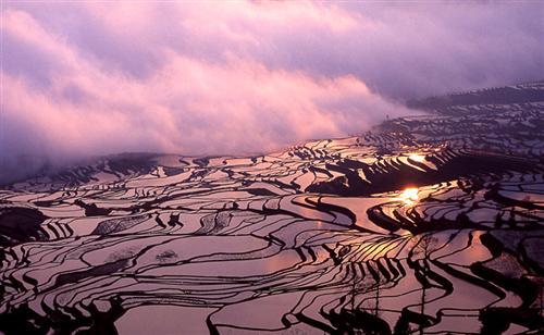 Man sagt, Yuanyang sei der beste Ort in Yunnan, um einen Sonnenuntergang zu fotografieren. Das Abendrot ist hier nicht nur im Himmel, sondern überall zu spüren. Der Wind singt dazu sein Lied und zieht über die bunten Terrassenfelder.