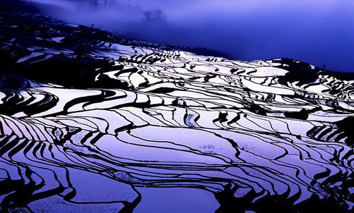 Man sagt, Yuanyang sei der beste Ort in Yunnan, um einen Sonnenuntergang zu fotografieren. Das Abendrot ist hier nicht nur im Himmel, sondern überall zu spüren. Der Wind singt dazu sein Lied und zieht über die bunten Terrassenfelder.