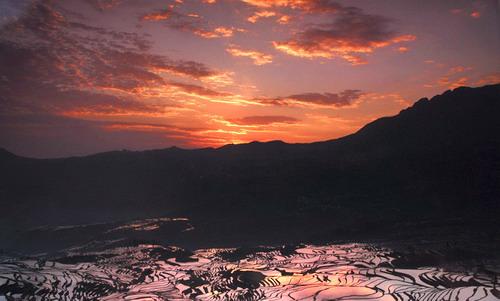 Man sagt, Yuanyang sei der beste Ort in Yunnan, um einen Sonnenuntergang zu fotografieren. Das Abendrot ist hier nicht nur im Himmel, sondern überall zu spüren. Der Wind singt dazu sein Lied und zieht über die bunten Terrassenfelder.