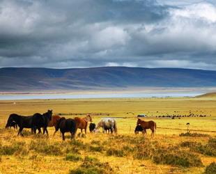 Gannan in der Gansu Provinz ist eine der zehn tibetischen autonomen Präfekturen in China. Die lokalen Viehzüchter leben im Grassland im Nordwesten, das auch wegen der gut erhaltenen Landschaft jedes Jahr zahlreiche Touristen anzieht.