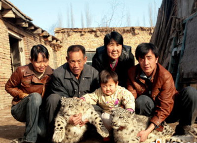 1 Ein Hirte im uigurischen autonomen Gebiet Xinjiang hat zwei Schneeleoparden-Babys als Haustiere aufgenommen. Die 'K?tzchen' sind schnell herangewachsen. Jetzt wiegen sie jeweils mehr als 15 Kilogramm.