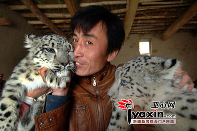 6 Ein Hirte im uigurischen autonomen Gebiet Xinjiang hat zwei Schneeleoparden-Babys als Haustiere aufgenommen. Die 'K?tzchen' sind schnell herangewachsen. Jetzt wiegen sie jeweils mehr als 15 Kilogramm.