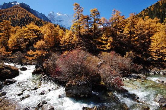 Im Daocheng-Kreis der tibetischen autonomen Präfektur Ganzi in Provinz Sichuan befindet sich der Nianqing Konka Risumgongba. Der Name bedeutet auf Tibetisch 'drei ganzjährig von Schnee bedeckte heilige Berge'.
