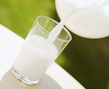 Chinesische Milchproduzenten leiden unter extremem Exportrückgang