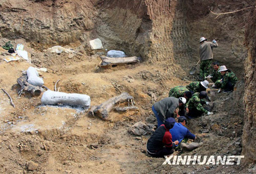 Chinesische Pal?ontologen haben best?tigt, dass das weltweit gr??te Fossilienfeld mit überresten von Dinosauriern in der N?he der Stadt Zhucheng in der Provinz Shandong entdeckt wurde.