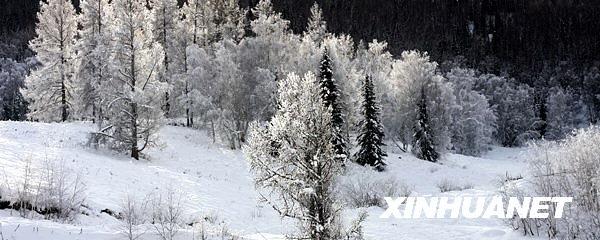 Das Hemu-Dorf in Kanas zeigt im Winter seine natürliche Sch?nheit.