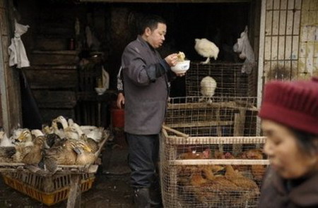 K?ltewelle in China erh?ht Risiko einer weiteren Verbreitung der Vogelgrippe