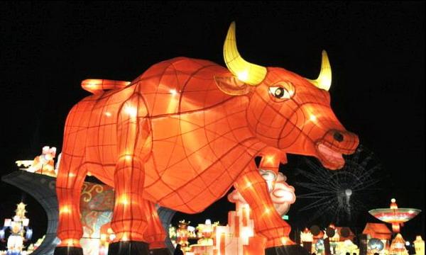 Eine Büffellaterne beim Laternenfest in Tianjin